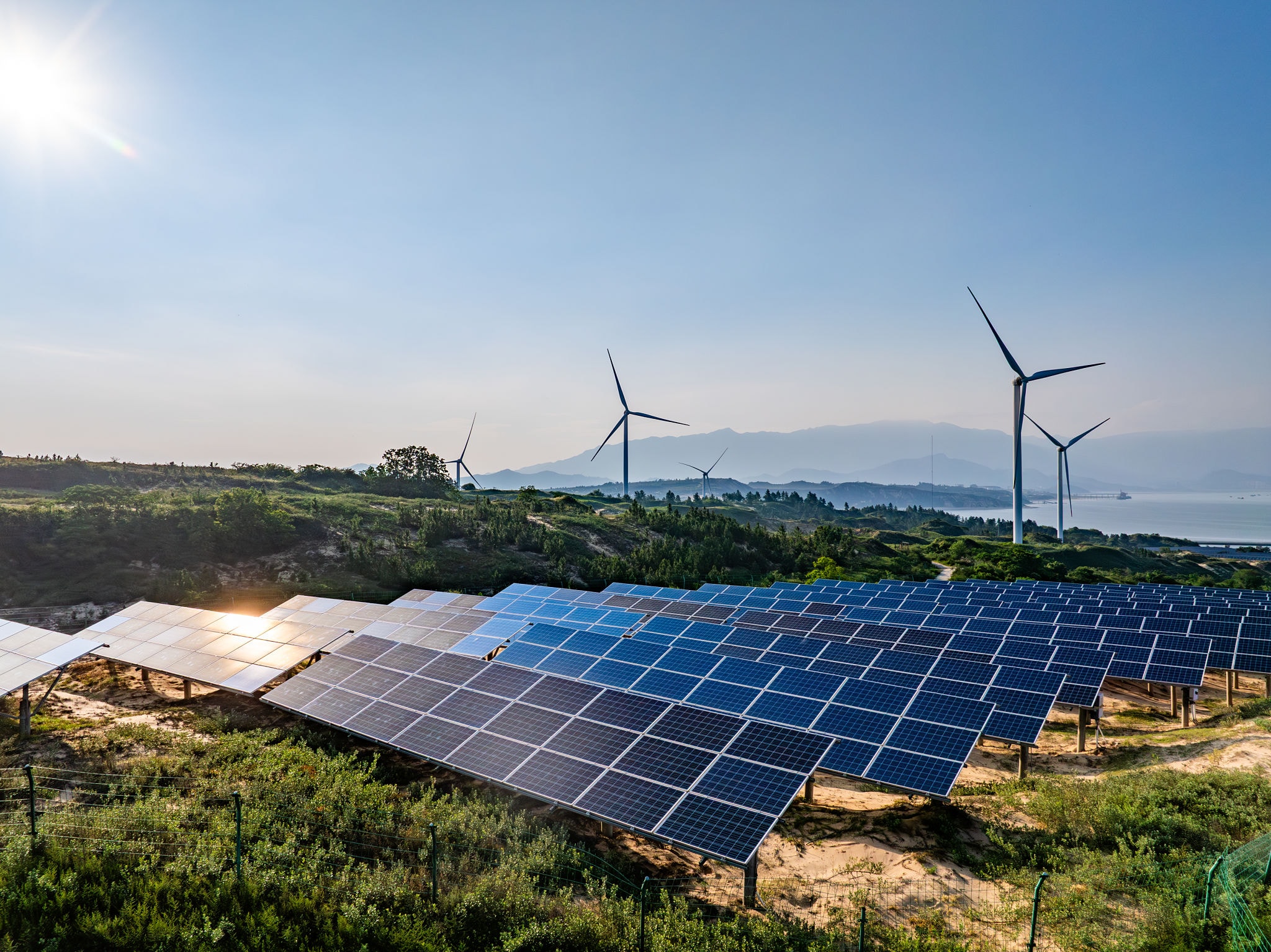 Renewable Energy